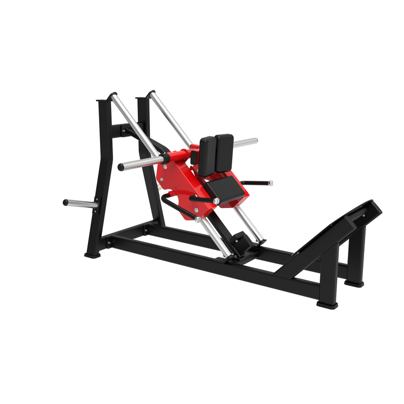 Push the trainer forward