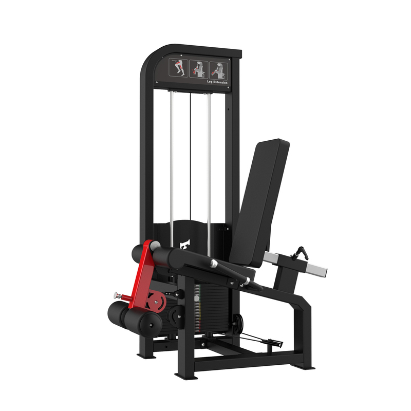 Thigh extension trainer