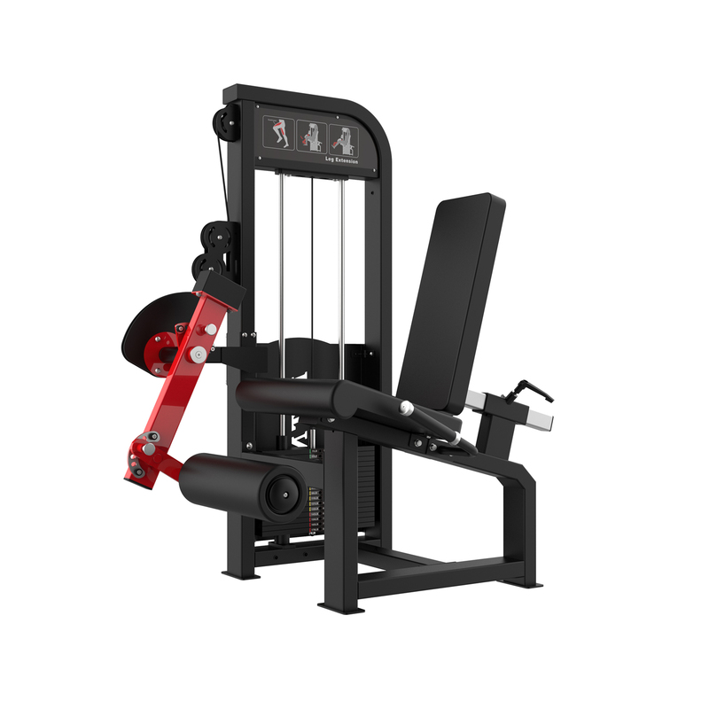 Thigh extension trainer