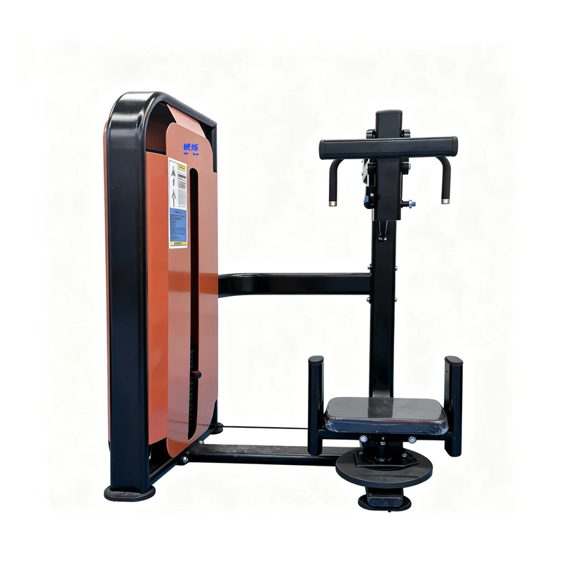 Rotary Torso Machine