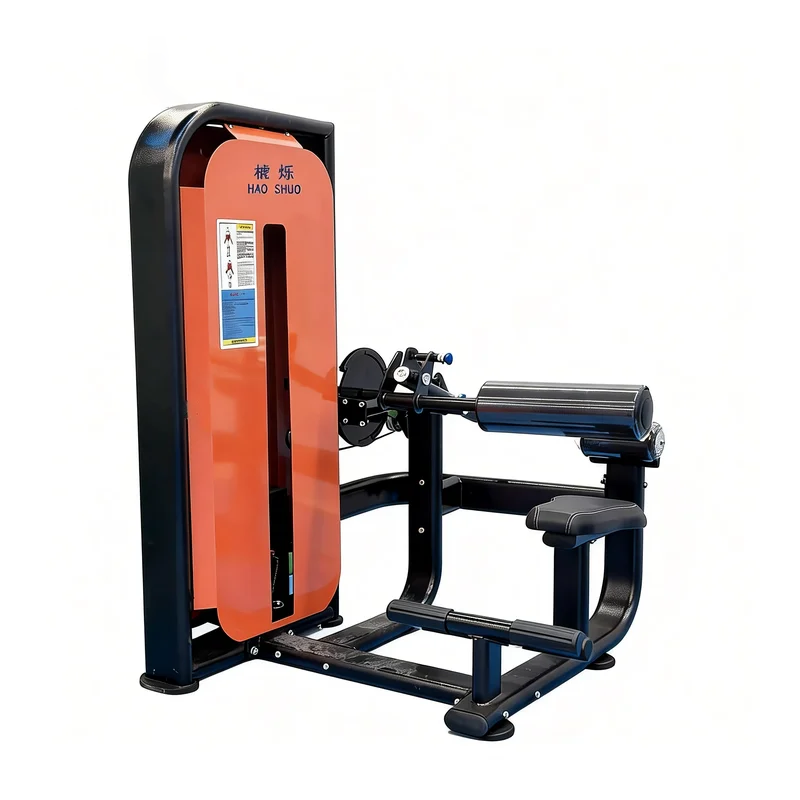 Back Extension & Abdominal Machine
